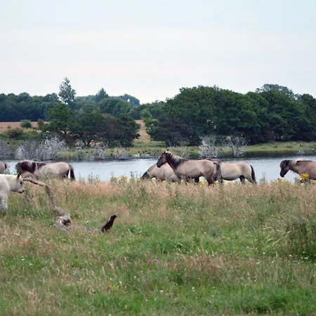 Extrazeit_urlaub Dom wakacyjny Hasselberg (Schleswig-Holstein)